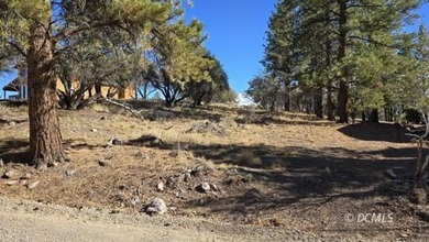 Panguitch Lake Lot For Sale in Panguitch Lake Utah