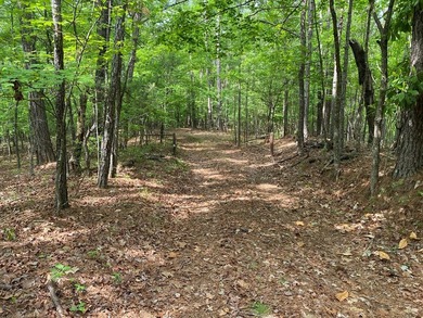 This deeded 21-acre property offers multiple homesites with - photo 11