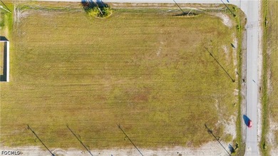 Prime Commercial Lot in Fast-Growing Cape Coral - No HOA! Seller - photo 11