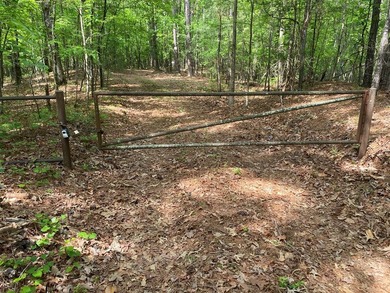 This deeded 21-acre property offers multiple homesites with - photo 12