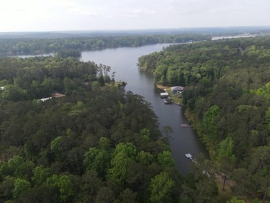 This deeded 21-acre property offers multiple homesites with - photo 16