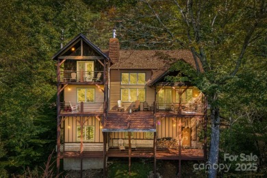 Mars Hill Reservoir Home For Sale in Mars Hill North Carolina