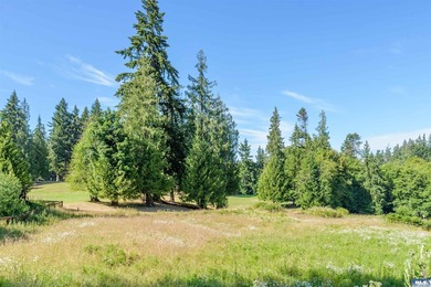 Tucked into a peaceful setting, this spacious 4-bedroom, 2 - photo 47
