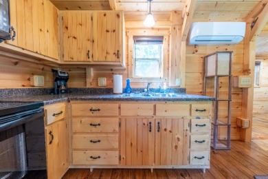 176 Little Cabin Ln., Falls of Rough, KY 40119 - photo 8