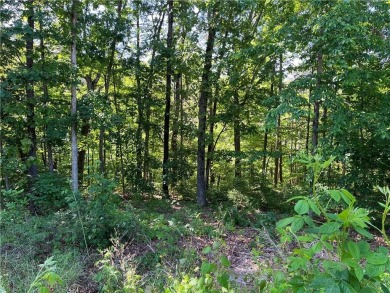 Lake Lot For Sale in Bella Vista, Arkansas
