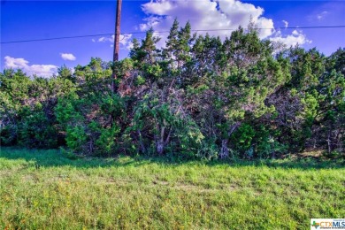 Canyon Lake Lot For Sale in Fischer Texas