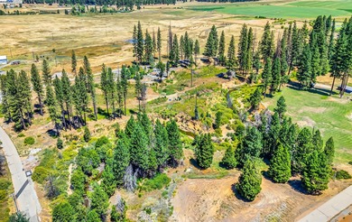 Round Valley Lake Lot For Sale in Greenville California