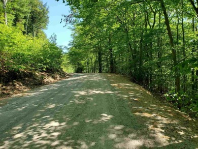 Pea Porridge Pond Lot For Sale in Madison New Hampshire