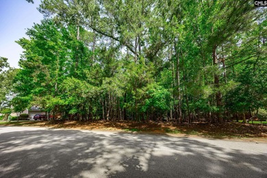 Don't miss this rare opportunity to own a .41-acre lot in the
