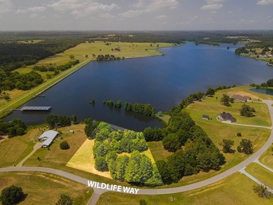 WATERFRONT LOT in WATER'S EDGE RANCH Rolling hillside, beautiful - photo 2