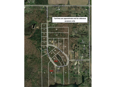Rural neighborhood adjacent to Pleasant Lake, Lot #6 of Lakeview - photo 8