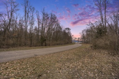 Rural neighborhood adjacent to Pleasant Lake, Lot #7 of Lakeview - photo 2