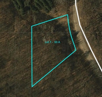 Rural neighborhood adjacent to Pleasant Lake, Lot #7 of Lakeview - photo 3
