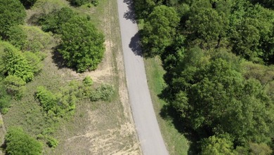Rural neighborhood adjacent to Pleasant Lake, Lot #7 of Lakeview - photo 7