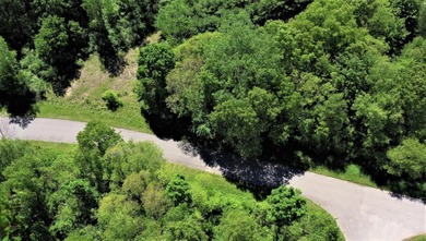 Rural neighborhood adjacent to Pleasant Lake, Lot #7 of Lakeview - photo 8