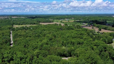 Rural neighborhood adjacent to Pleasant Lake, Lot #7 of Lakeview - photo 9