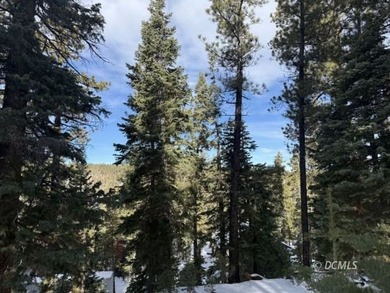 Navajo Lake Lot For Sale in Duck Creek Village Utah