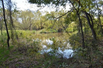 Cedar Creek Lake Lot For Sale in Eustace Texas