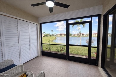 Beautiful lakefront condo in the highly desirable Cinnamon Cove - photo 11