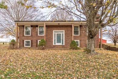 Welcome to your dream home! This stunning completely remodeled - photo 2