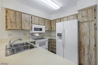 Enjoy affordable, low-maintenance Florida living in this - photo 13