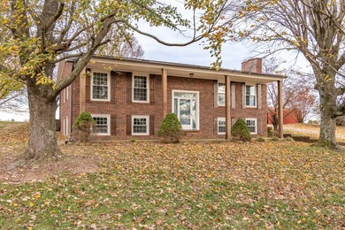 Welcome to your dream home! This stunning completely remodeled - photo 4