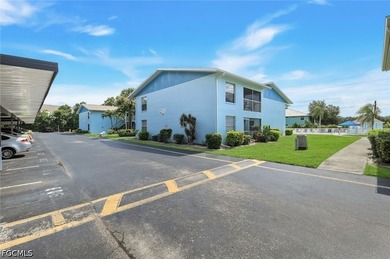 Enjoy affordable, low-maintenance Florida living in this - photo 25