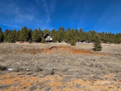 Navajo Lake Lot For Sale in Duck Creek Village Utah
