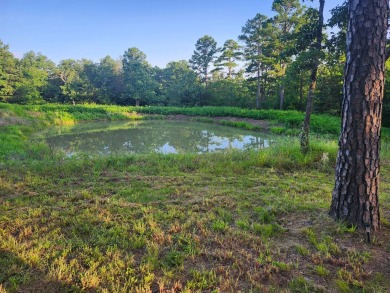 (private lake, pond, creek) Acreage For Sale in Wister Oklahoma