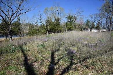 Four Lake Front Lots on Raymond Gary Lake, nestled in the quiet - photo 9