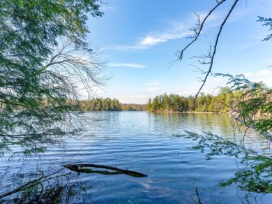 Muskesin Lake Parcel - Lake Lot For Sale in Lac du Flambeau, Wisconsin