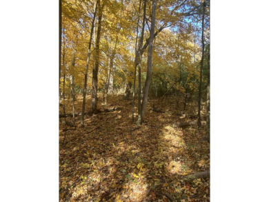 Lake Lot For Sale in Elkhorn, Wisconsin