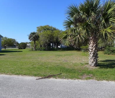 Desirable 4th row homesite just one lot off Palmetto Boulevard - photo 1