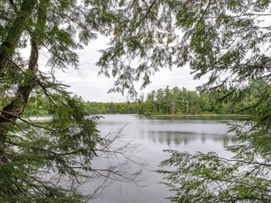 Tranquil Muskesin Lake Lot - Lake Lot For Sale in Lac du Flambeau, Wisconsin