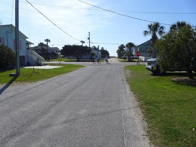 Desirable 4th row homesite just one lot off Palmetto Boulevard - photo 2