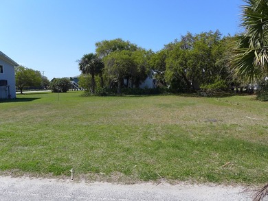 Desirable 4th row homesite just one lot off Palmetto Boulevard - photo 4