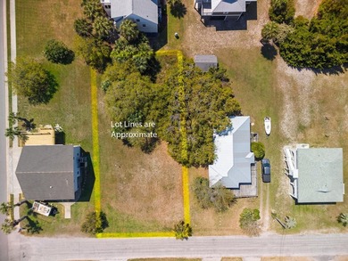 Desirable 4th row homesite just one lot off Palmetto Boulevard - photo 5
