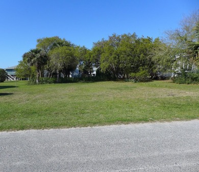 Desirable 4th row homesite just one lot off Palmetto Boulevard - photo 6