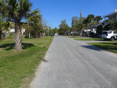 Desirable 4th row homesite just one lot off Palmetto Boulevard - photo 7