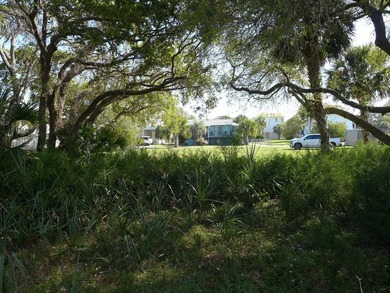 Desirable 4th row homesite just one lot off Palmetto Boulevard - photo 9