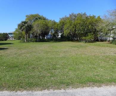 Desirable 4th row homesite just one lot off Palmetto Boulevard - photo 10