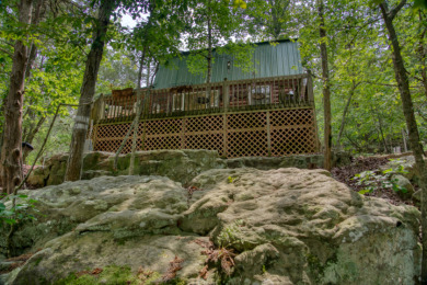 15+ Lake Front Acres with a Cabin and Private Dock! - photo 17