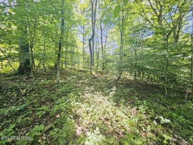 Lake Lot For Sale in Loudon, Tennessee