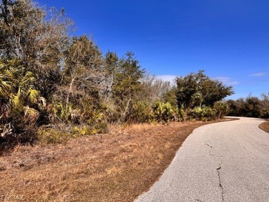 Are you ready to build your dream home? This spacious lot is - photo 3