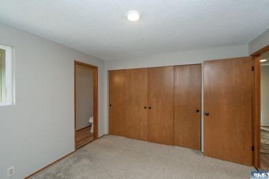 Move right into this beautifully remodeled 3 BR, 2 BA rambler - photo 17