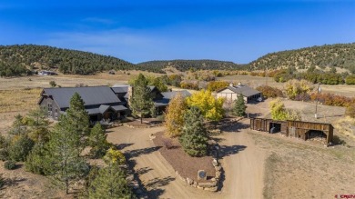 Lake Home For Sale in Hesperus, Colorado