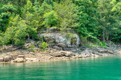 15+ Lake Front Acres with a Cabin and Private Dock! - photo 24