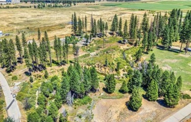 Lake Lot For Sale in Greenville, California