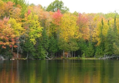 Lake Acreage For Sale in Marenisco, Michigan