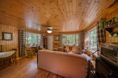 15+ Lake Front Acres with a Cabin and Private Dock! - photo 20